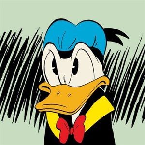 Meet your Posher, Avery